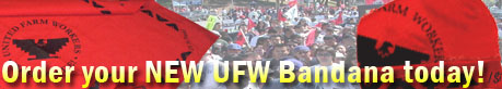 Order your NEW UFW Bandana today!